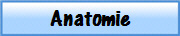 Anatomie