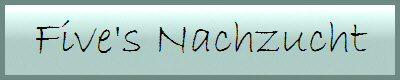 Five's Nachzucht