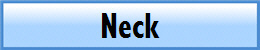 Neck