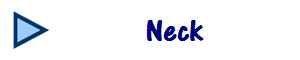 Neck