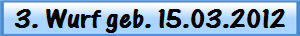 3. Wurf geb. 15.03.2012