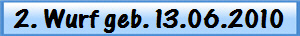 2. Wurf geb. 13.06.2010