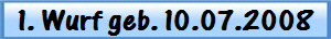 1. Wurf geb. 10.07.2008